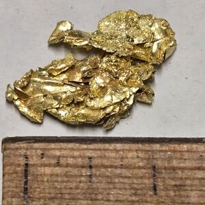 Gold Nugget Jewelry Accessory